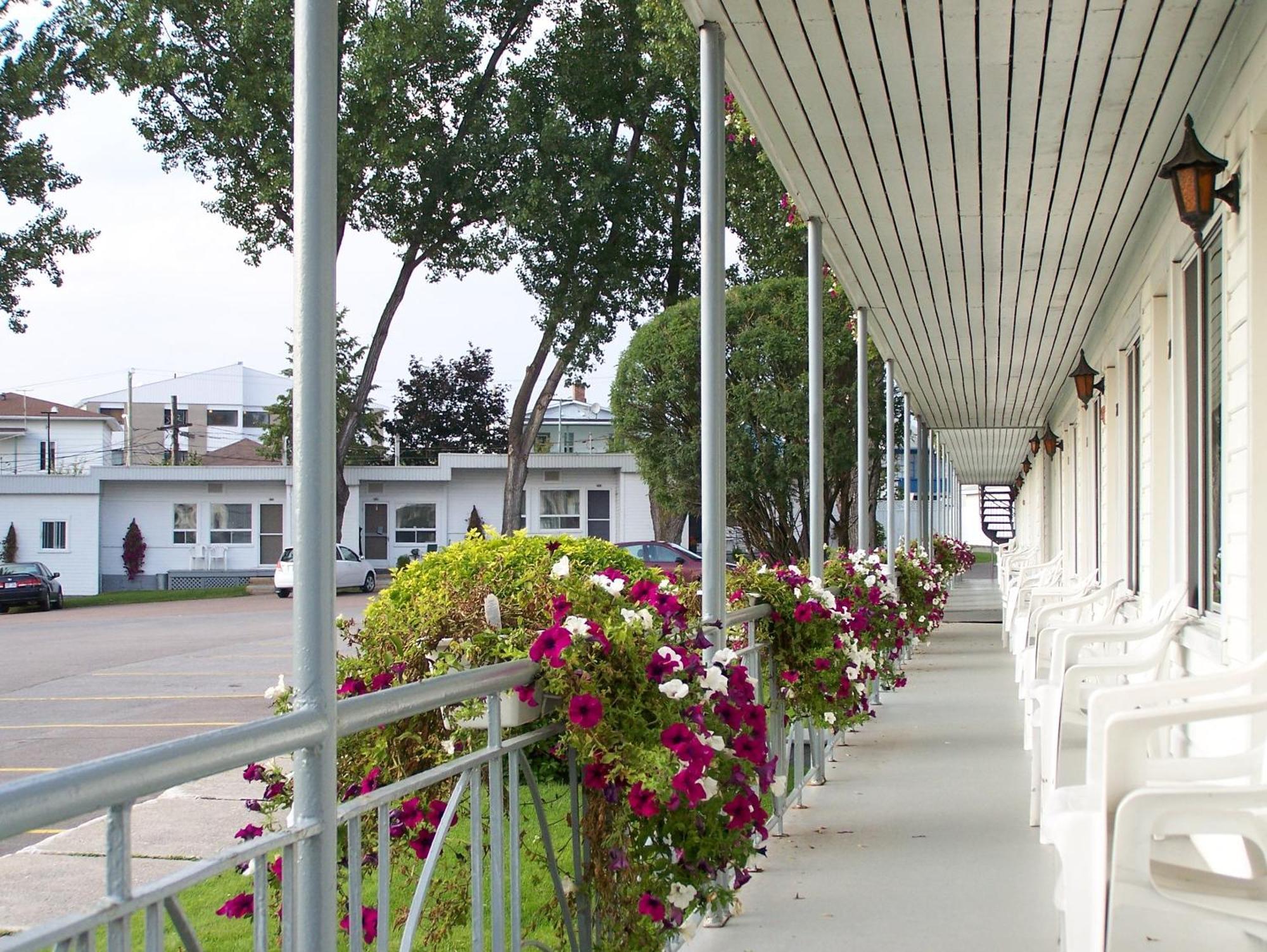 Auberge Le Parasol Chicoutimi Eksteriør billede