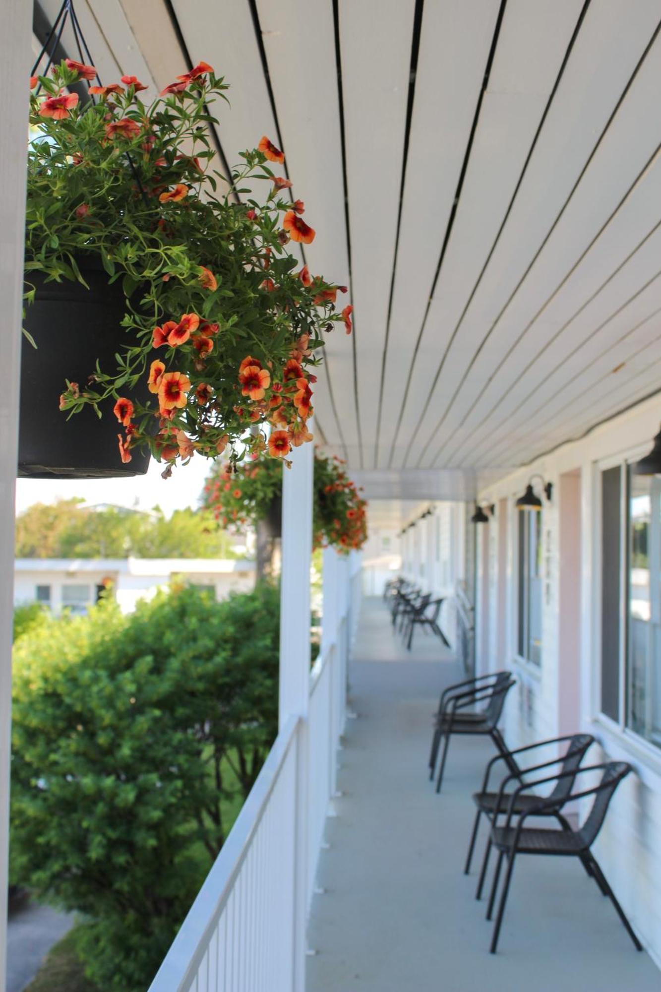 Auberge Le Parasol Chicoutimi Eksteriør billede